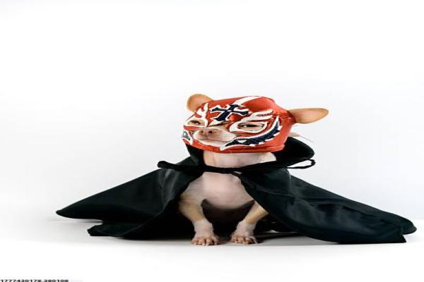 儿童体育培训行业发展现状与前景(图1)