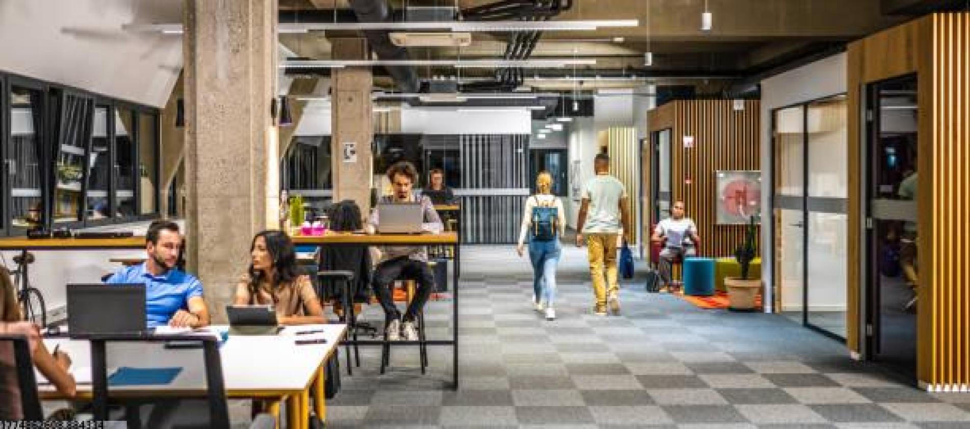 精细化数据展示